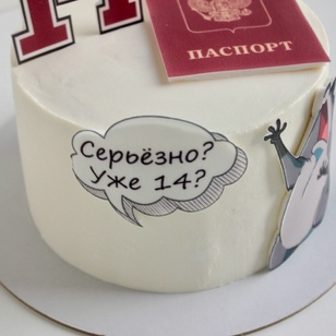 Детский торт на 14 лет с паспортом