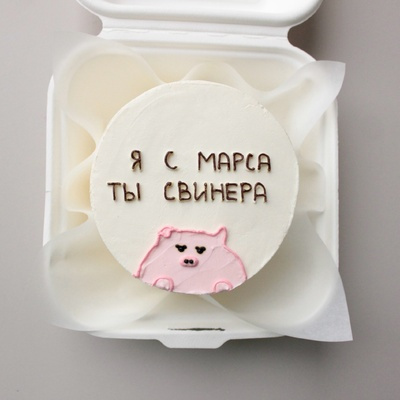 Бенто-торт я с марса ты свинера